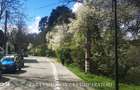 ALEEA CASTANILOR - APARTAMENT IN VILA, PARTER - 11