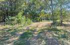 Teren intravilan de vanzare, 970mp, Turcinesti - 4