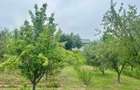 Casă P+M Chicerea Tomesti cu 2.200 mp teren, 30 ml la asfalt, livadă matură și mansardă - 11