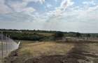 TEREN INVESTITIE | PANORAMA | 4.350 MP | SAUAIEU | BIHOR - 3