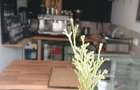 Mosilor Carol spatiu cafenea magazin - 1