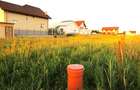 Vanzare Teren intravilan, construibil, 523 mp, Viforata - Targoviste Exterior No - 3