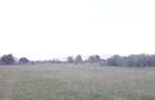 vand teren intravilan, 2550 mp, Magurele, Prahova - 1