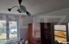 TEREN zona aer curat CASA si ANEXA - 7
