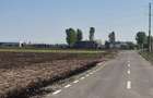 Teren de 4850 mp, în Dobreni - 3