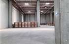 Spatiu Industrial - 4300 mp - Logistica - Depozitare - Distributie - 6