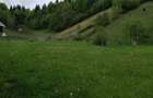 Teren Podul Dambovitei,Lunca Cheii , Arges - 4