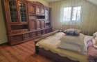 Casa reziden?iala cu mansarda ?i garaj, teren 5000mp, Cateasca, Arges - 6