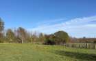 Vand teren intravilan - 1