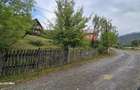 Teren vanzare Valea Doftanei - 4