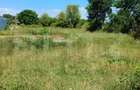 Teren de vanzare, intravilan, 32 ari, Moara Nica - 1