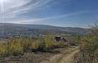 Teren Intravilan Tomesti Deal