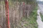 Teren 701 mp, front 30ml la DN1, Nistoresti, jud. Prahova - 2