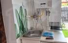 Apartament 1 camera, 45 mp, curte, Cipariu - 7