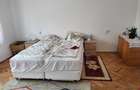 Vanzare casa cu gradina 4000m2 - 7