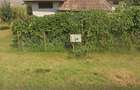 Vind casa Zau de cimpie - 1