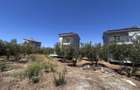 Complex exclusivist cu 3 vile individuale in Paralia Ofriniou Grecia - 18