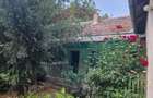 Casa cu gradina mare in Boiu - 7