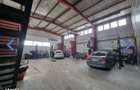 Hala industriala 530mp utilia, zona Ina Schaeffler Cristian - 8