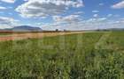 Teren intravilan, Puz aprobat parcele intre 500 - 700 mp