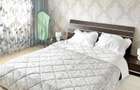 Apartament 2 camere, decomandat , Independentei, zona Rfn - 1