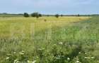 Teren extravilan, 4.994 mp, Targoviste - 3
