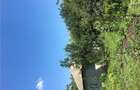 Casă în Sălcioara - 1