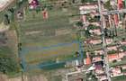 Teren 4550mp intravilan Albesti