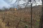 Casa de vanzare,locuibila,beci,electricitate,gradina! - 2