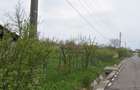 Teren intravilan Predesti,Dolj - 2