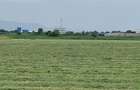 Teren agricol de 20000 mp, în Bod - 1