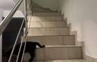 Inchiriere casa 3 camere P + 1 + M tip insiruita Prelungirea Ghencea , Cartierul Latin , Pet Friendly - 4