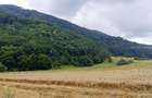 Bra?ov Bartolomeu- Cucului,Intravilan 16.500mp,dezvoltare rezidentiala - 9