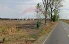 Teren intravilan de 17799 mp, în Moara Vlăsiei - 1