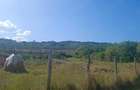 Teren intravilant Ionesti, toate utilita?ile, solarii ?i pomi fructiferi - 1