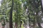 INCHIRIEZ apartament Cantemir - Palas - 6