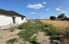 Teren Construcții intravilan de 447 mp, în Podgoria - 2