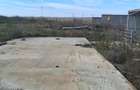 Ferma de vanzare , zona Dambu - 8