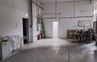 Spațiu industrial, 870 mp în Calea Timișoarei - 3