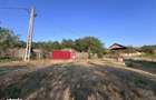 Casa de vanzare - Vaslui - sat Cotic - 3