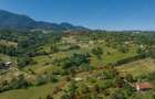 Teren intravilan de 11000 mp, în Bran - 3