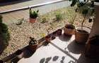 Dumbravita Parter cu Balcon - 10
