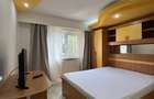 Apartament 2 camere Eremia Grigorescu - 5