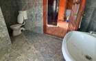 Casa de vacanta cu 8300 mp teren, de vanzare in Preluca Noua!! - 5