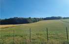 De vanzare teren intravilan 3.1 Ha, Sancraul De Mures, Mures - 2