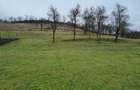 Teren intravilan in zona de dealuri 67000mp - 3