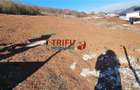 Teren Construcții de 600 mp, în Cetate - 3