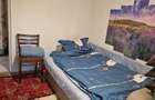 Apartament cu 2 camere semidecomandat în Podu Roș - 4
