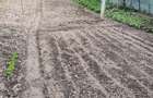 Vand casa la Nadrag zona linistita foarte aproape de centru - 1