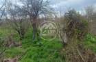 Vilă P+1 în Amara | 1.170 mp Teren | Toate utilitățile | Str. Băilor - 13